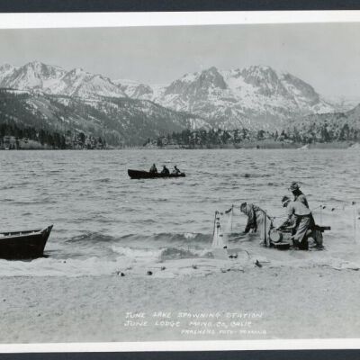 Print, Photographic