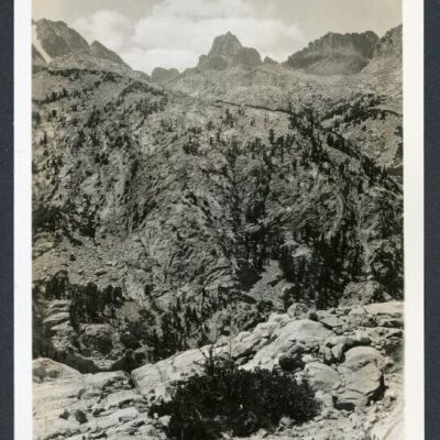 Print, Photographic