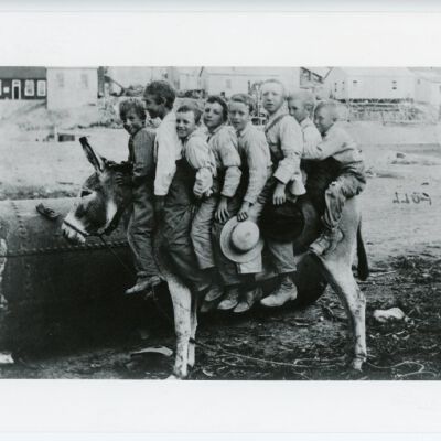 Print, Photographic