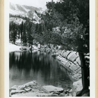 Print, Photographic