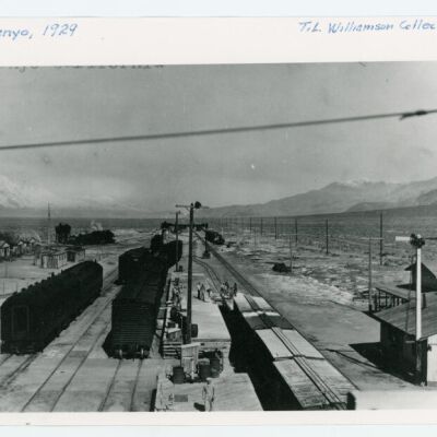 Print, Photographic