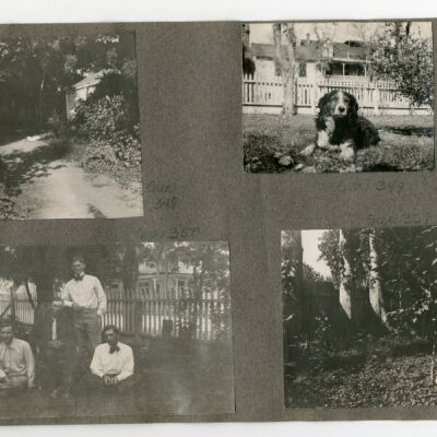 Print, Photographic