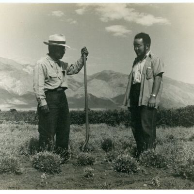 Print, Photographic