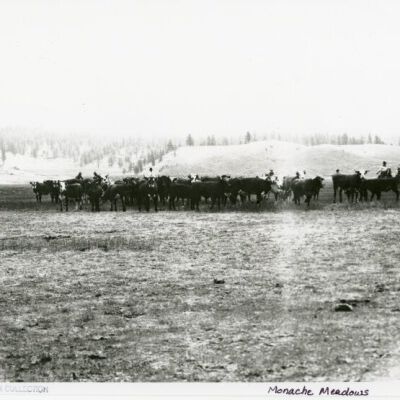 Monache Meadows