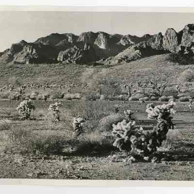 Print, Photographic