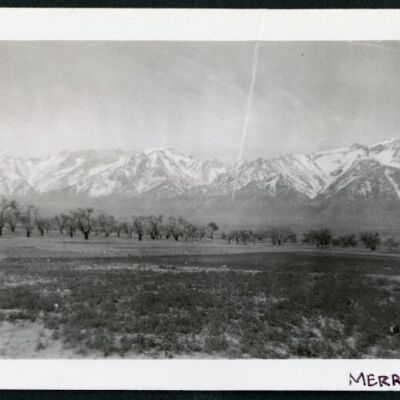 Print, Photographic