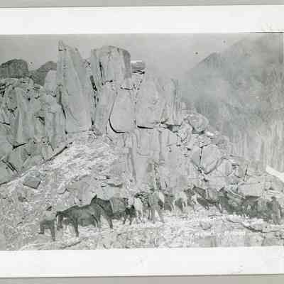 Mt. Whitney Trail