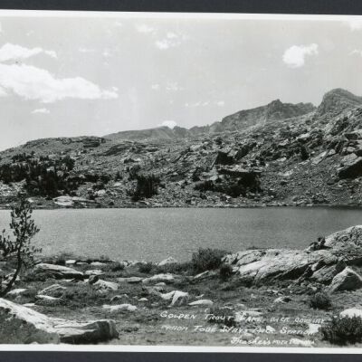Print, Photographic
