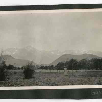 Print, Photographic