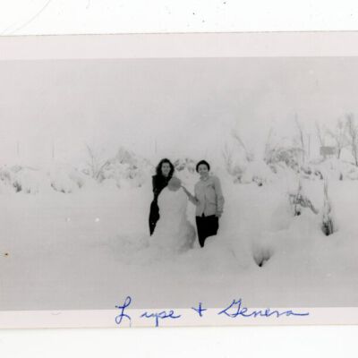 Print, Photographic
