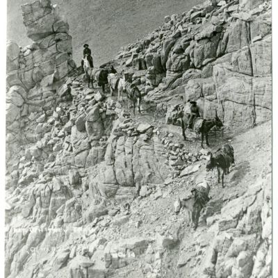 Mt. Whitney Trail