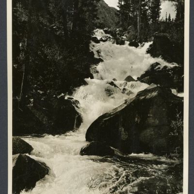 Print, Photographic