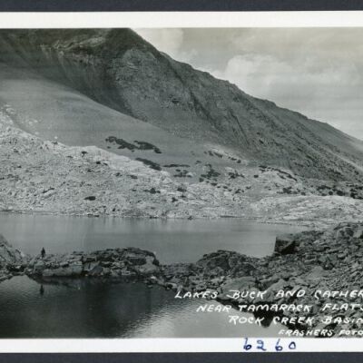 Print, Photographic