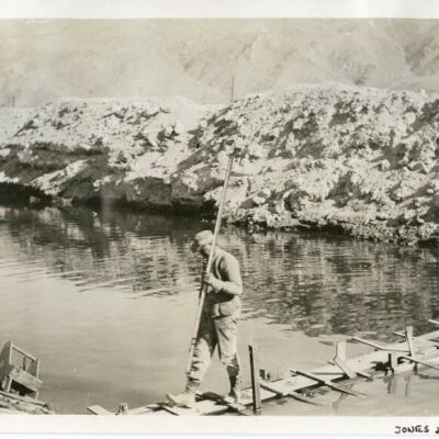 Print, Photographic