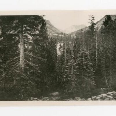 Print, Photographic
