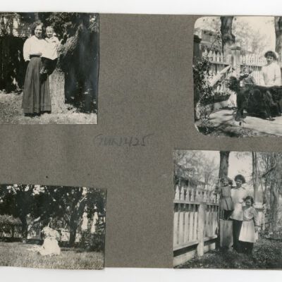 Print, Photographic