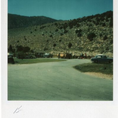 Print, Photographic