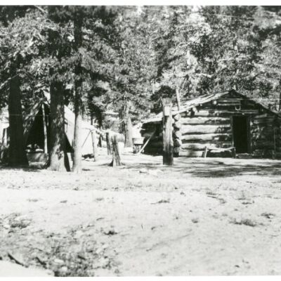 Cabin at Brown Meadow