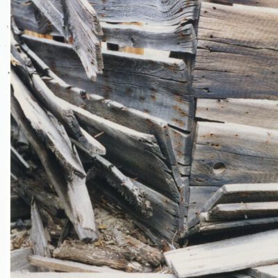 Print, Photographic