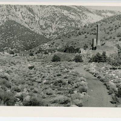 Print, Photographic