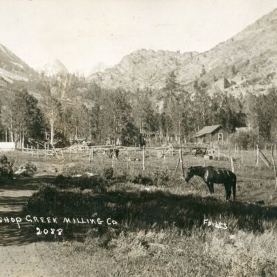 Camp Bishop Creek Milling Co. 2088 Forbes