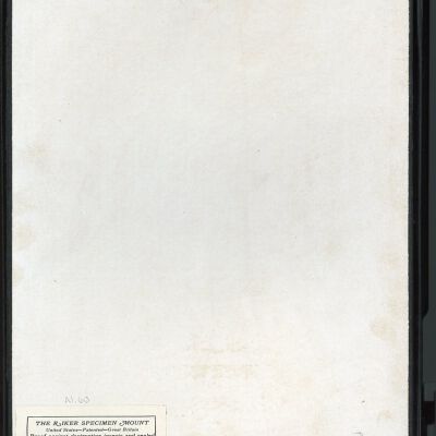 Resolution: 100 dpi