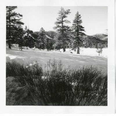 Print, Photographic