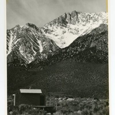 Print, Photographic