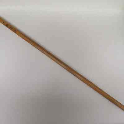 Cane