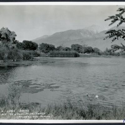 Print, Photographic
