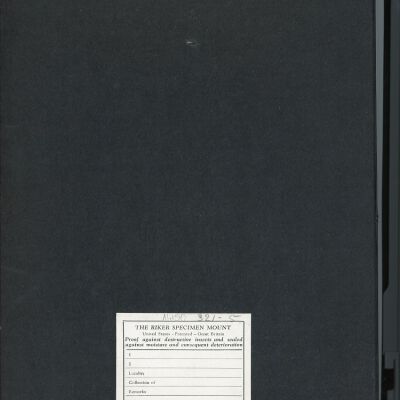 Resolution: 100 dpi
