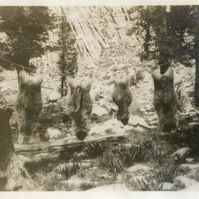 Print, Photographic