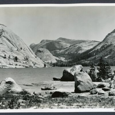 Print, Photographic