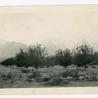 Print, Photographic