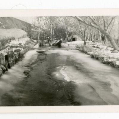Print, Photographic