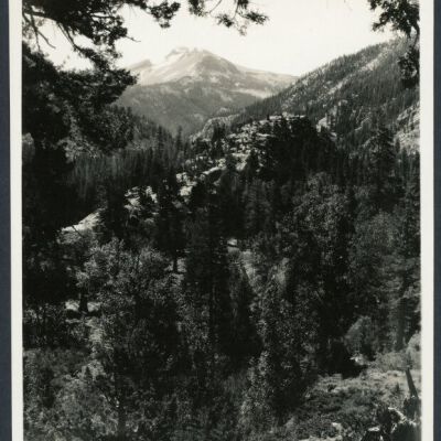 Print, Photographic