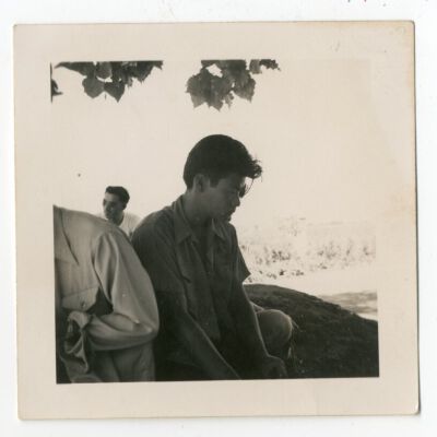 Print, Photographic