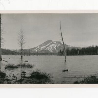 Print, Photographic