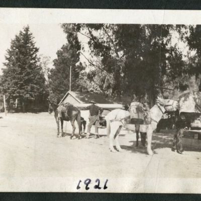 Print, Photographic
