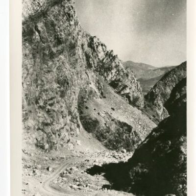 Print, Photographic