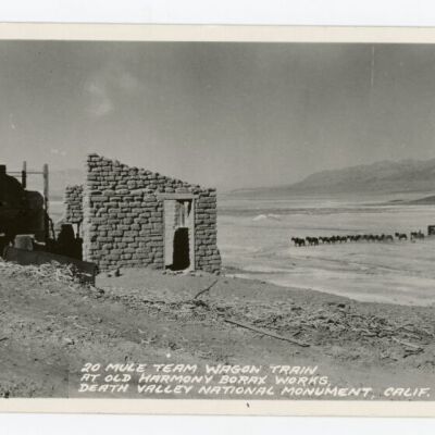 20 Mule Team Wagon Train at Old Harmony Borax Works, Death Valley National Monument, Calif.