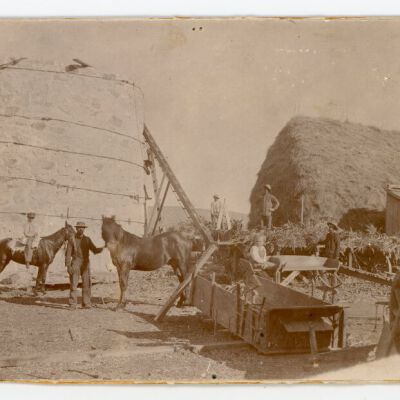 Print, Photographic