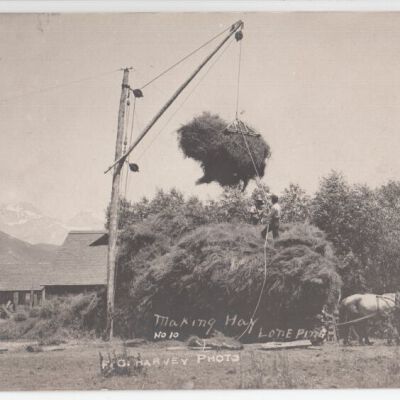Making Hay, Lone Pine