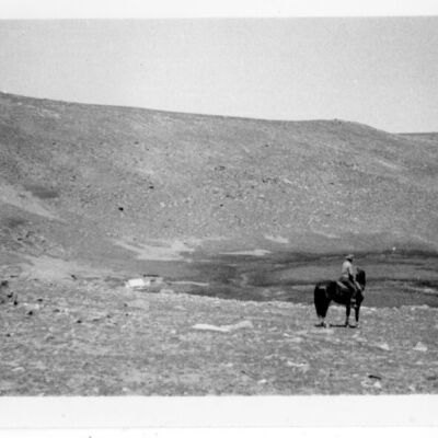 Print, Photographic