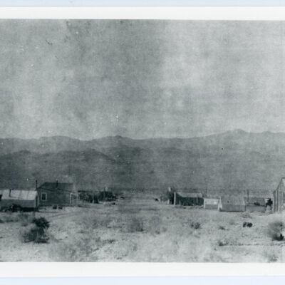 Print, Photographic