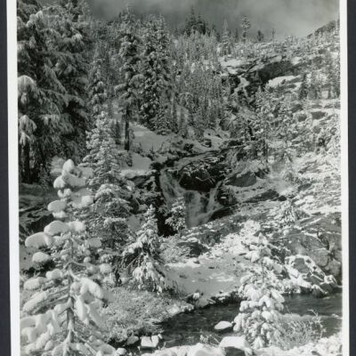 Print, Photographic