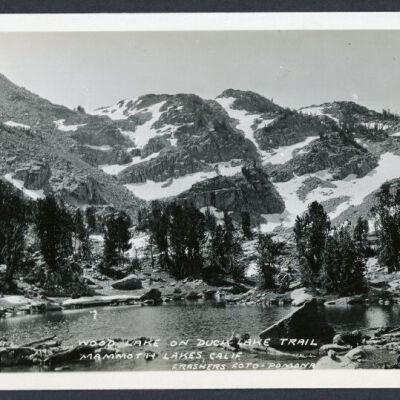 Print, Photographic