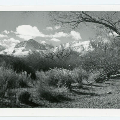 Print, Photographic