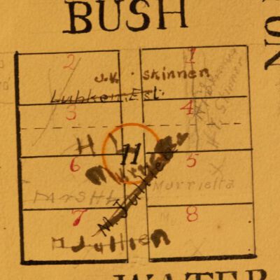 Map Export (613 Of 862)