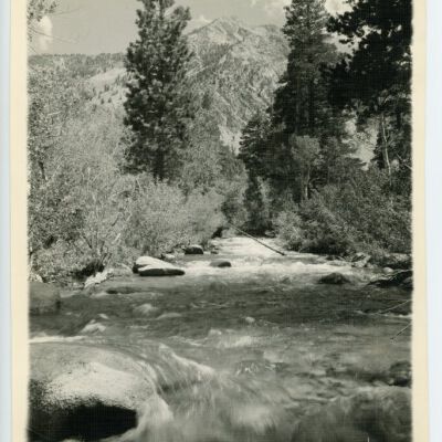 Print, Photographic